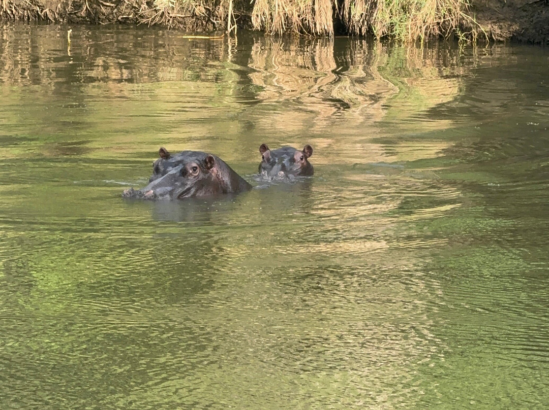 Toro River at Toro River Lodges-霍德斯普鲁特必去景点