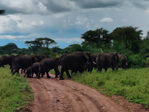 Akshar Tours And Safaris-姆万扎必去景点