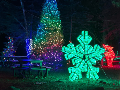 Stone Zoo-Stoneham必去景点