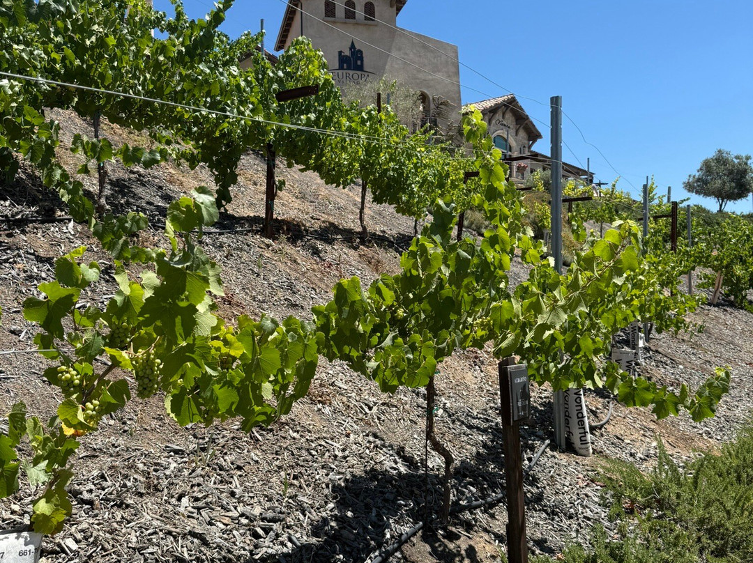 Europa Village Winery-特曼库拉必去景点