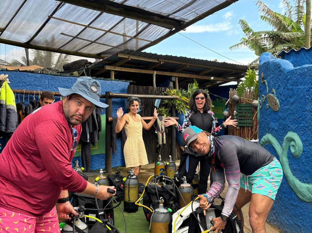 SAFARI, DRIVE & DIVE TOURS-Inhambane必去景点