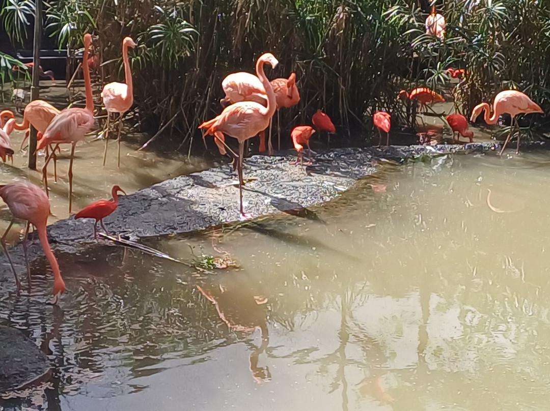 Jardin Botanique de Valombreuse-Petit-Bourg必去景点