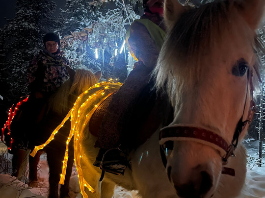 Lapin Saaga Icelandic Horse Stable in Levi-Sirkka必去景点