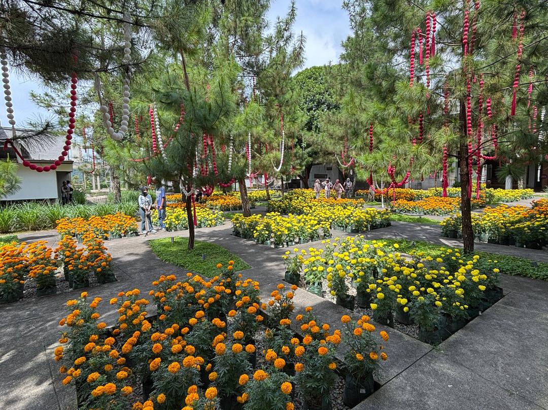 Rumah Atsiri Indonesia-Tawangmangu必去景点