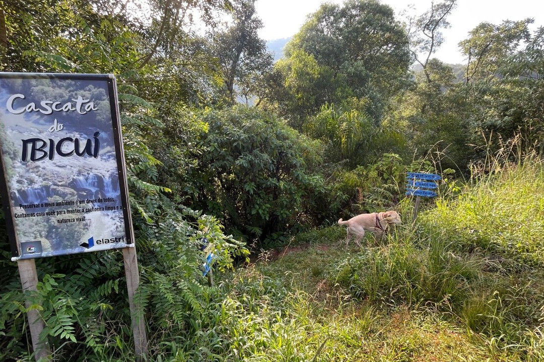 Cascata do Ibicuí-Campos Novos必去景点