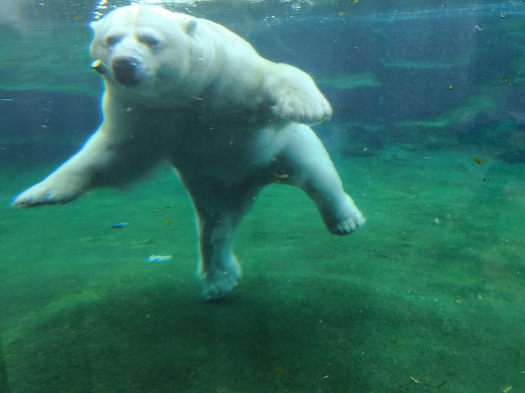 Pairi Daiza Resort主图