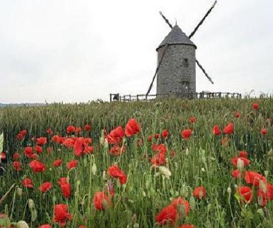 Saint-Georges-de-Grehaigne酒店住宿-Le Relais de Moidrey