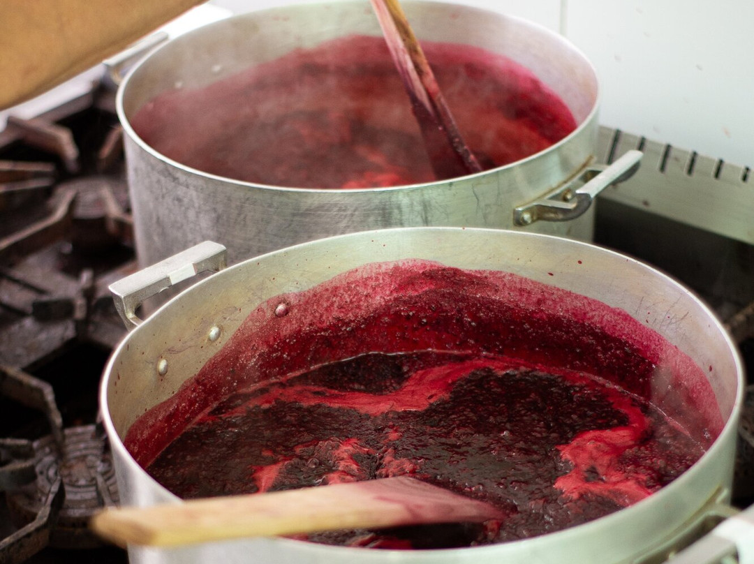 Abalauquen-Lago Puelo必去景点