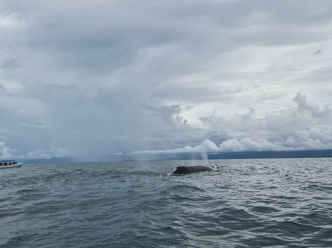 Aventura Uno-彭塔雷纳斯必去景点