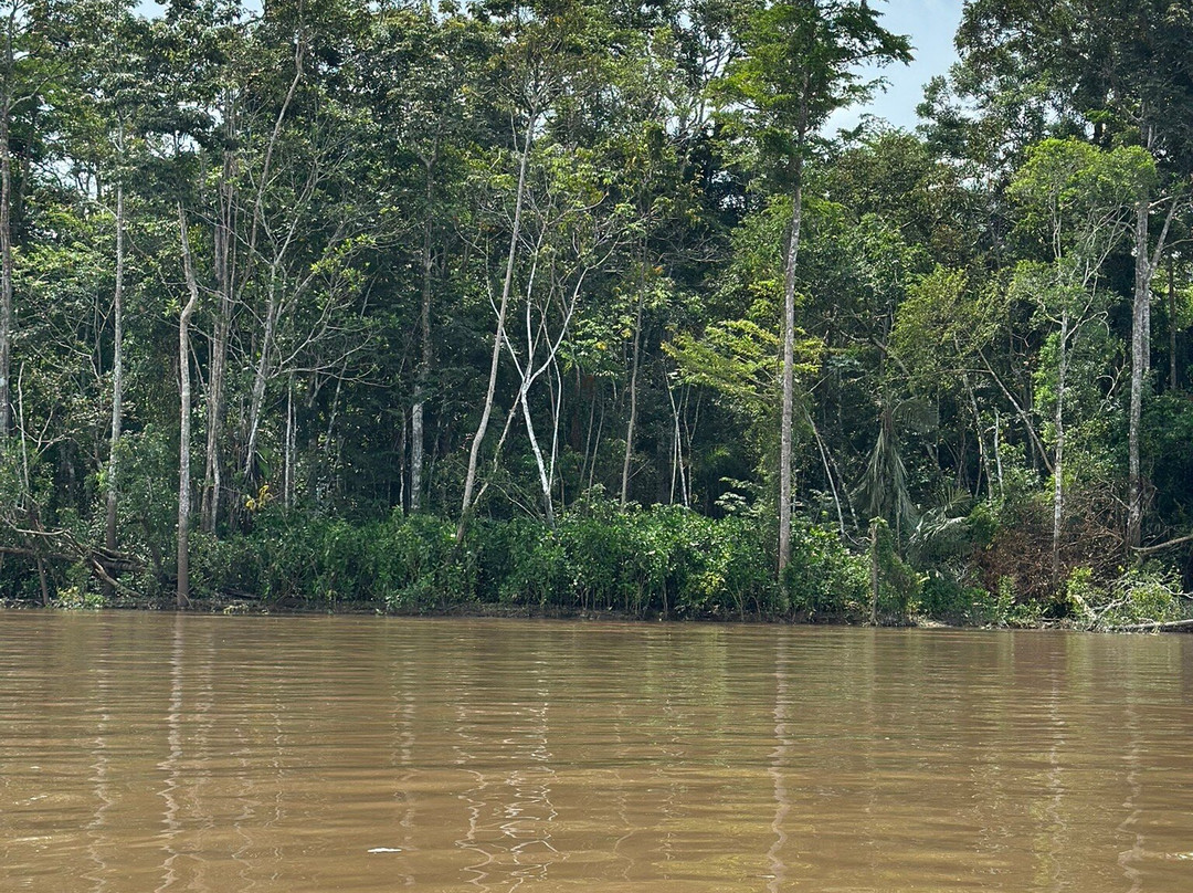 Psychonauta Foundation-伊基托斯必去景点