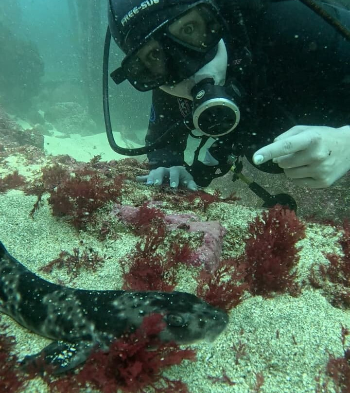 Buceo Quintay-Quintay必去景点