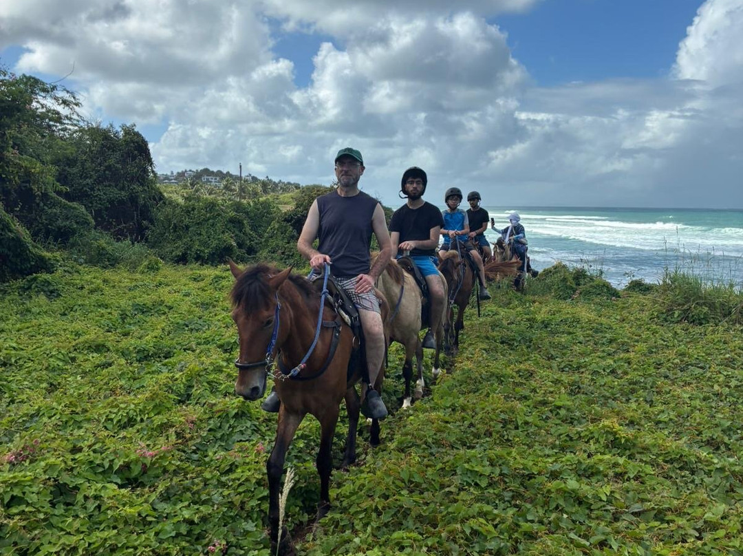 Hacienda Flambollan Tours-Vieques必去景点