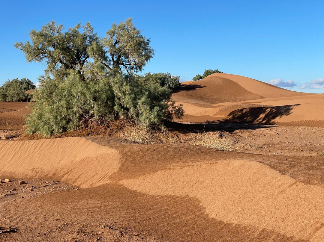 Dar Sidi Bounou主图