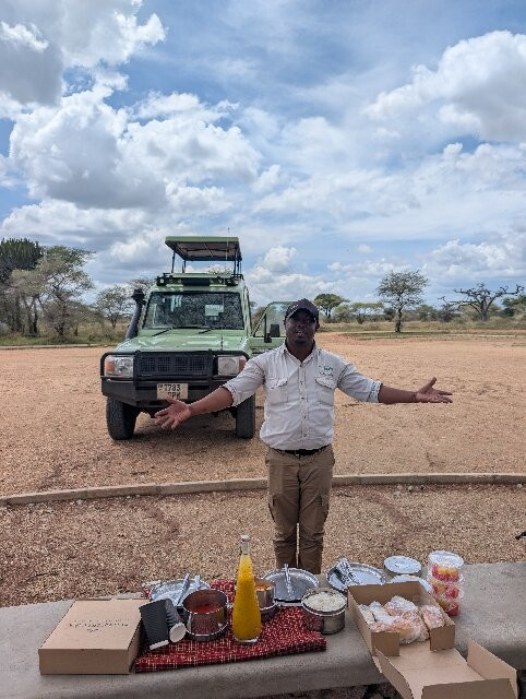 Dolphin Tours & Safaris Ltd-姆万扎必去景点