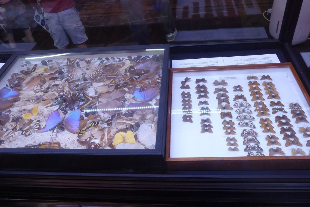 Swansea Museum-斯温西必去景点