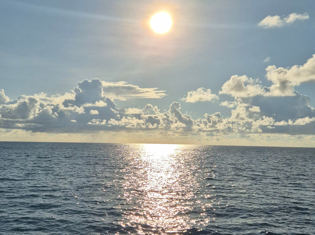 Mason's Travel-维多利亚必去景点