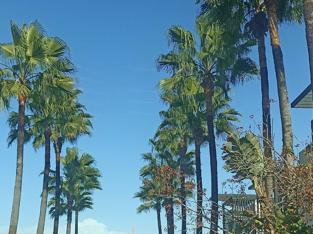 迪亚法精品酒店及spa中心主图