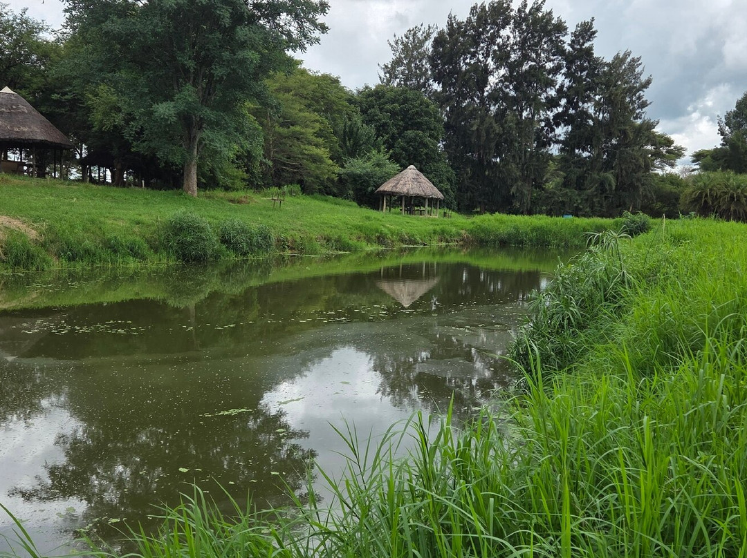 Kalimba Reptile Park-卢萨卡必去景点