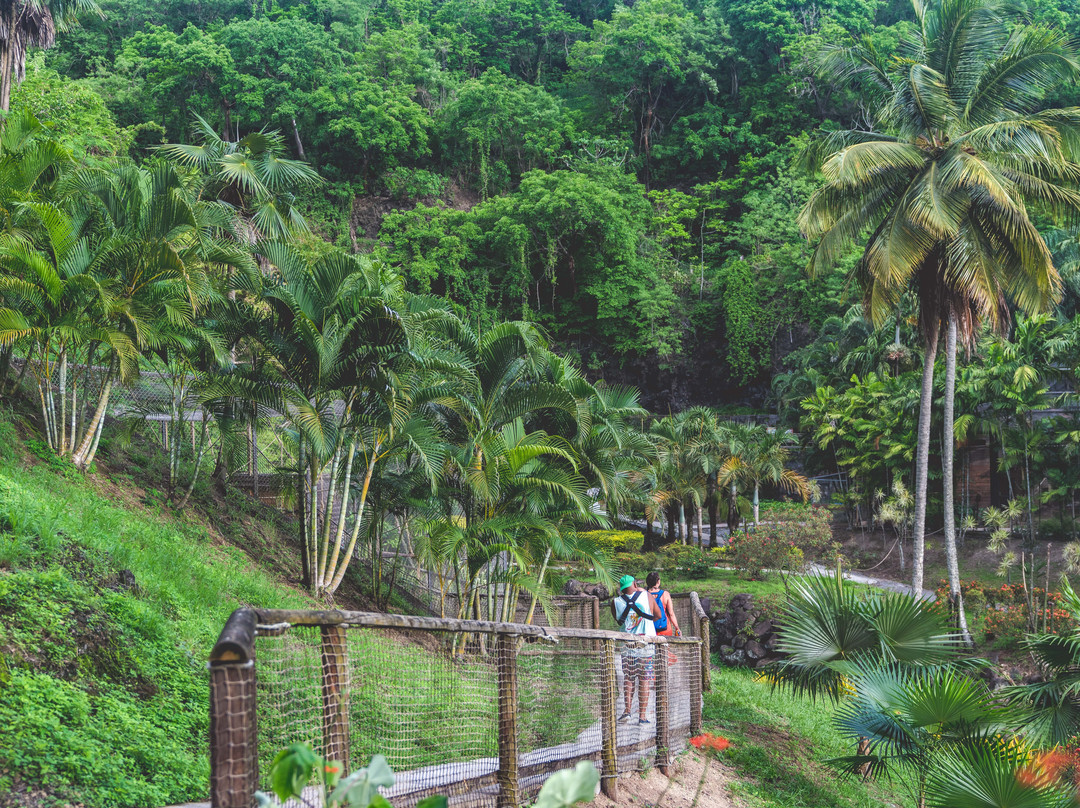 Zoo de Martinique-Le Carbet必去景点