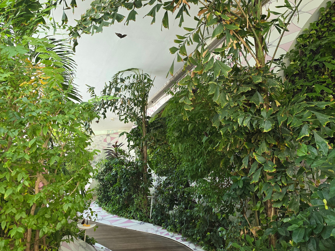 Al Noor Island-沙迦必去景点