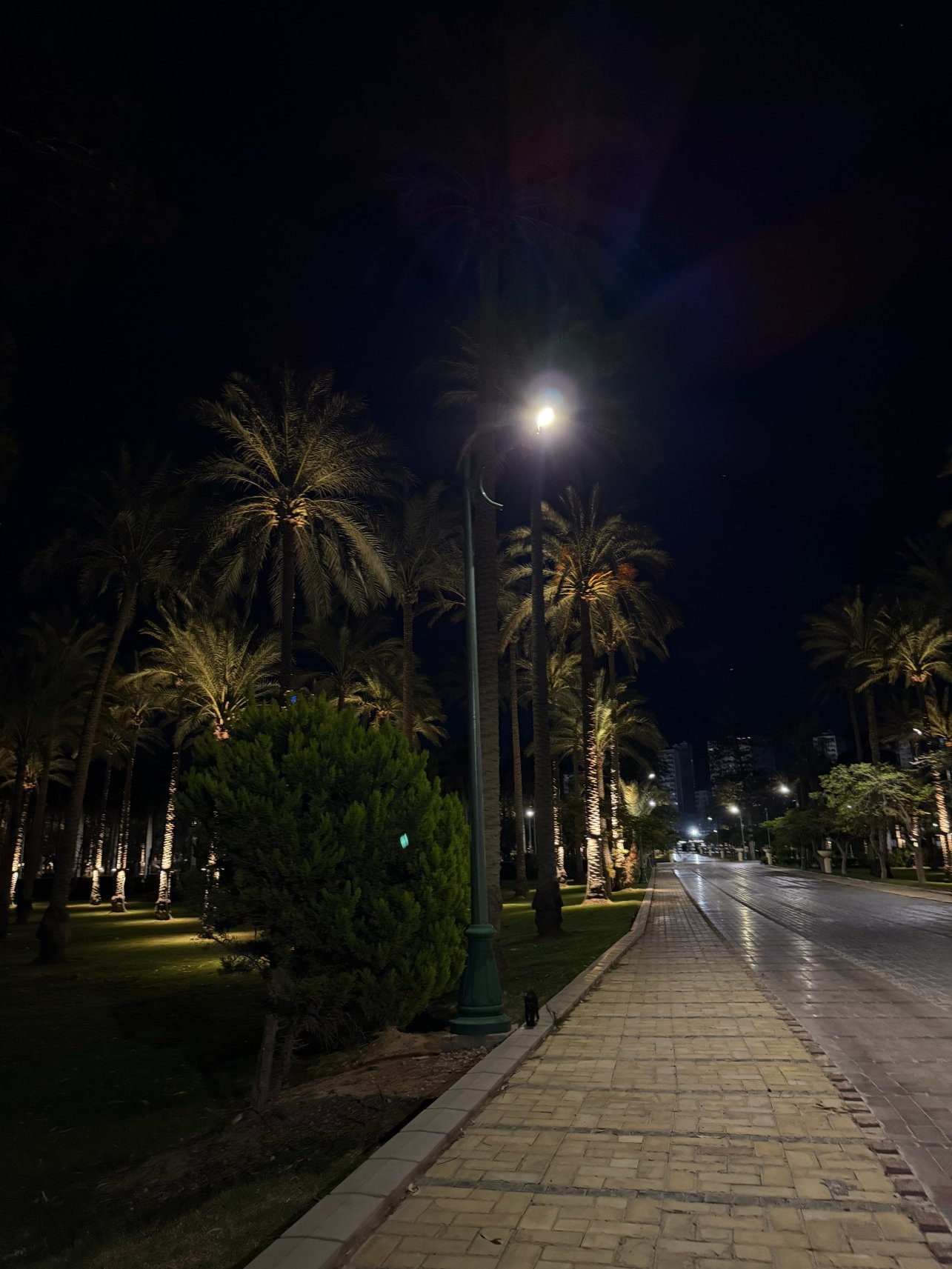 Rixos 蒙塔扎亚历山大酒店-浴室