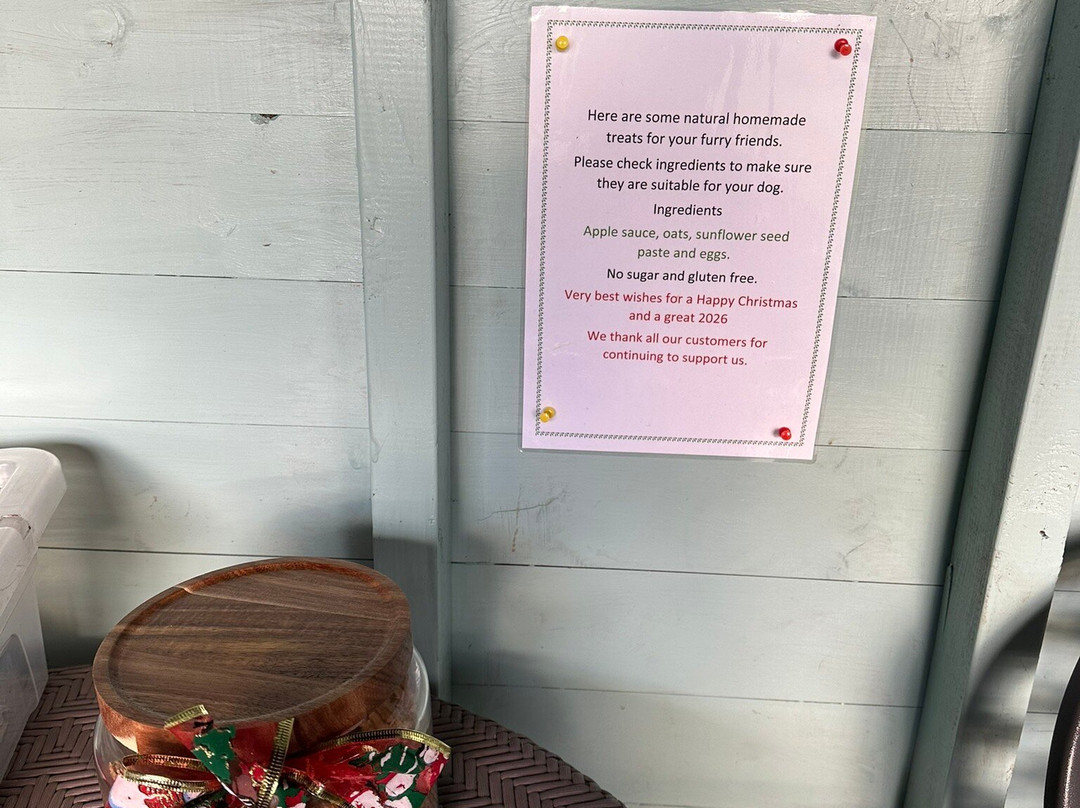 Seaview Dog Meadow-Wiveton必去景点