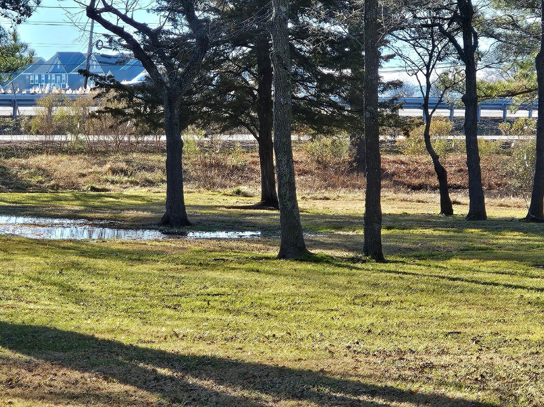 Long Point Park-Grasonville必去景点