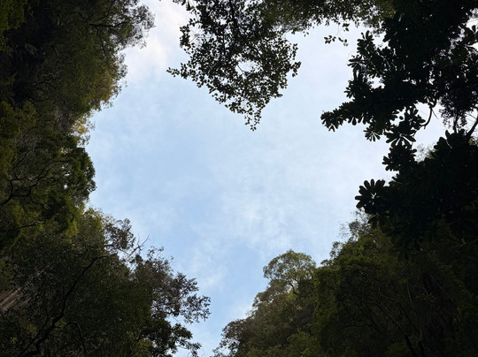 Sri Thara Marine - Canoeing & James Bond Island-普吉岛必去景点