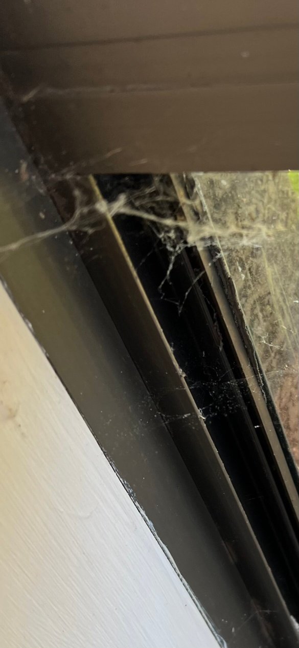 Donnybrook Motel-客卧