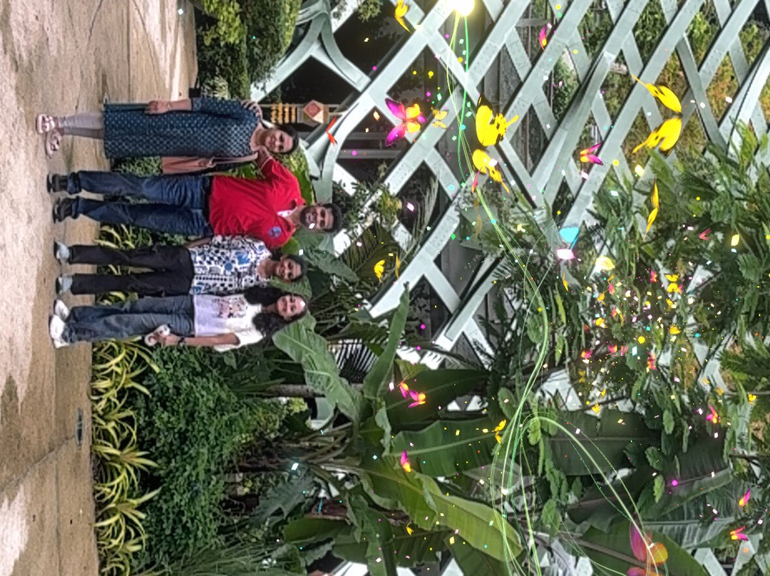 Sentosa SensoryScape-新加坡必去景点