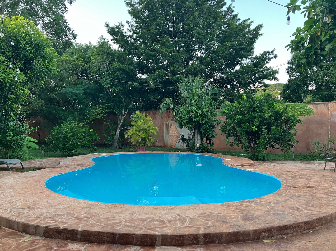 Coyote Mistico Bed & Breakfast主图