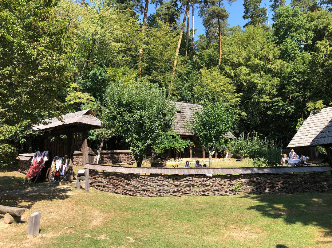 Muzeul Astra-锡比乌必去景点