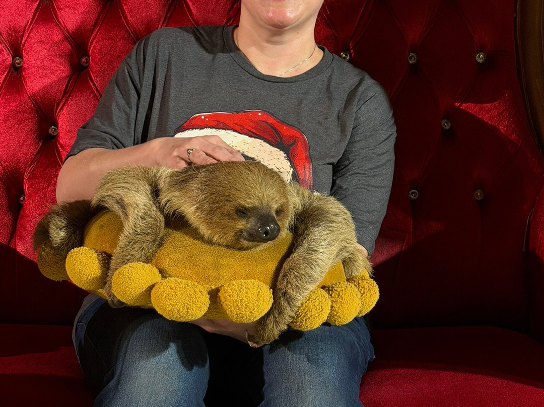 Animal EDventure Park & Safari-博因顿海滩必去景点