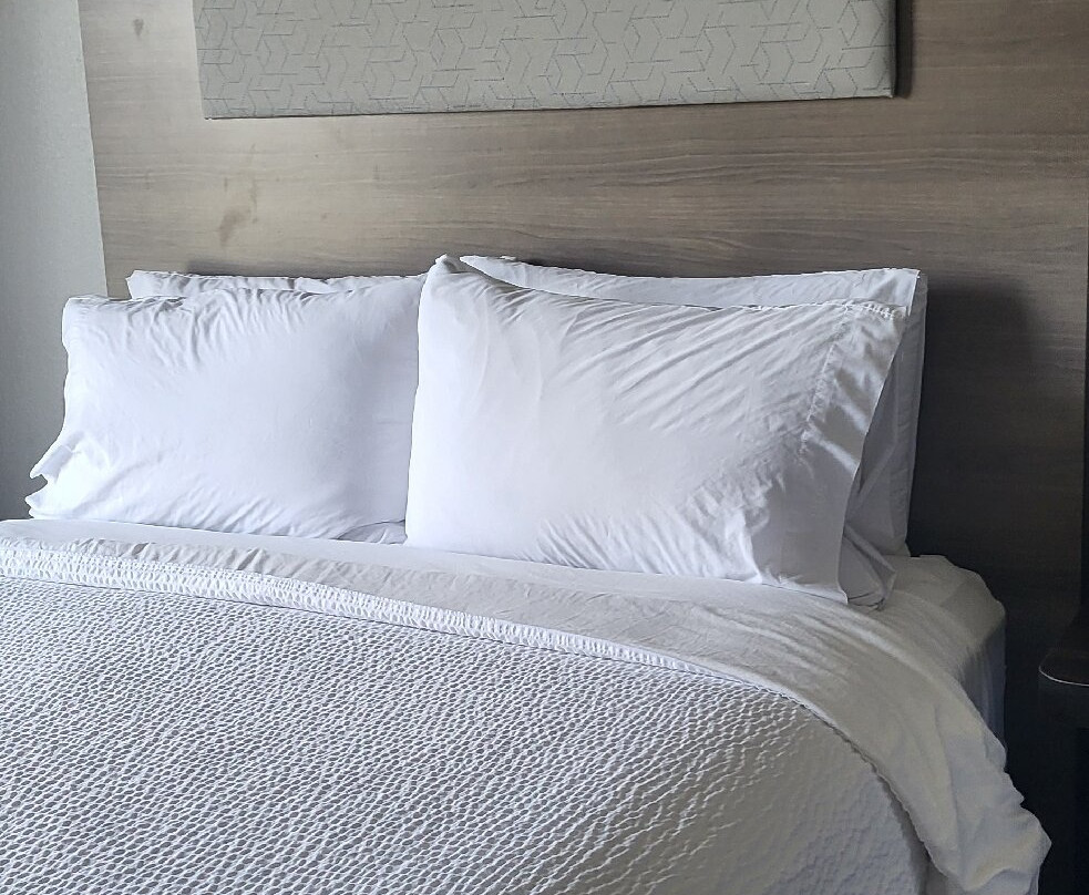 阿卡迪亚快捷假日&套房酒店主图