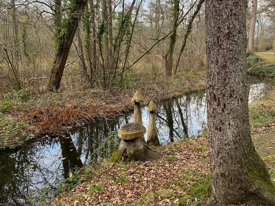Fairhaven Woodland and Water Garden-South Walsham必去景点
