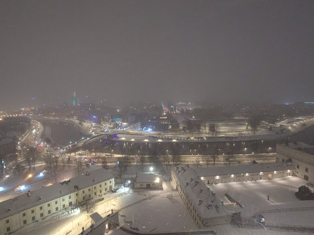 Gediminas Castle Tower-维尔纽斯必去景点