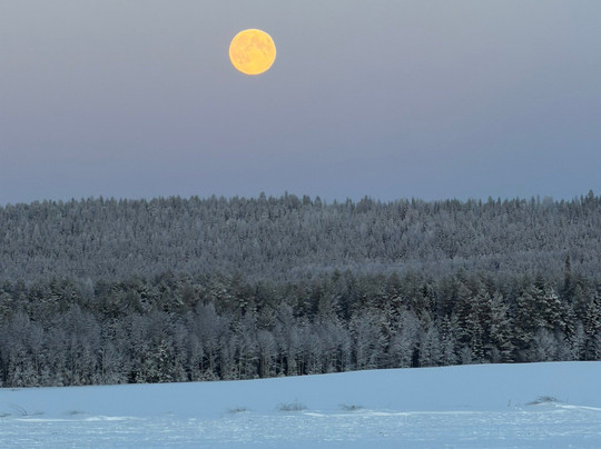Vuosku Arctic Experiences-罗瓦涅米必去景点