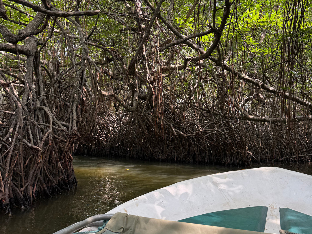Sasha Tours-Waskaduwa必去景点