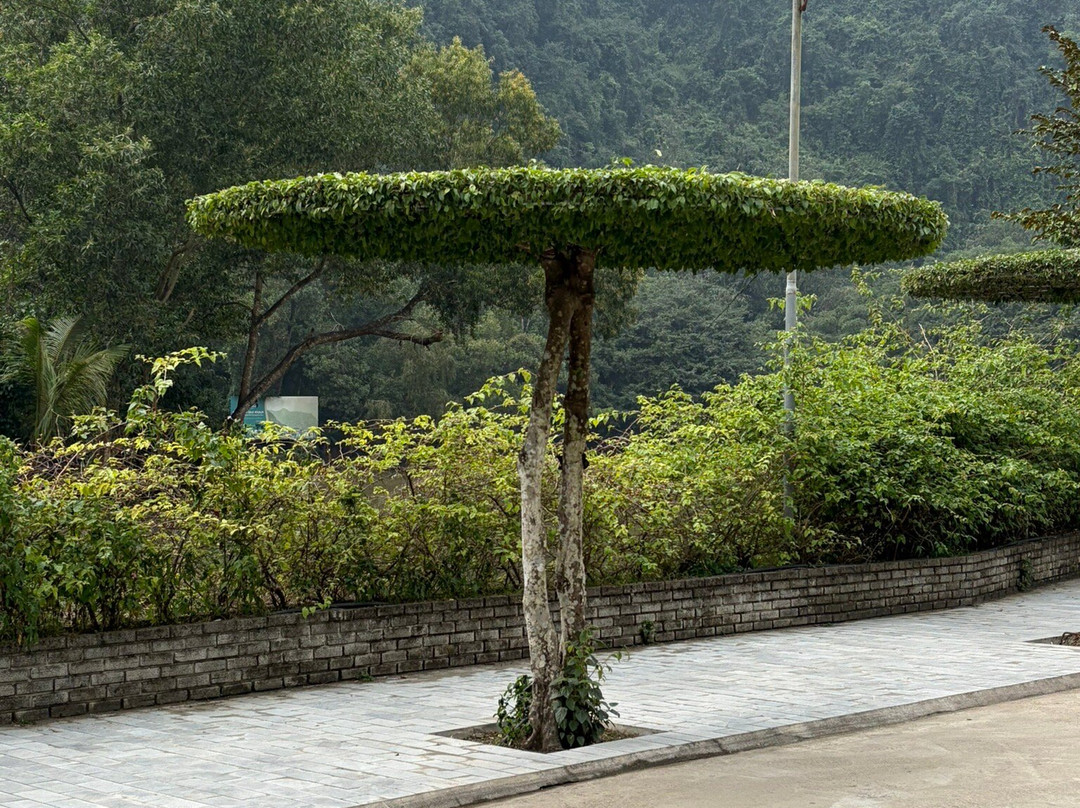 Trang An Tours-宁平必去景点