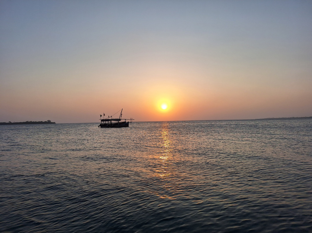 Nomadic Sails-Wasini Island必去景点