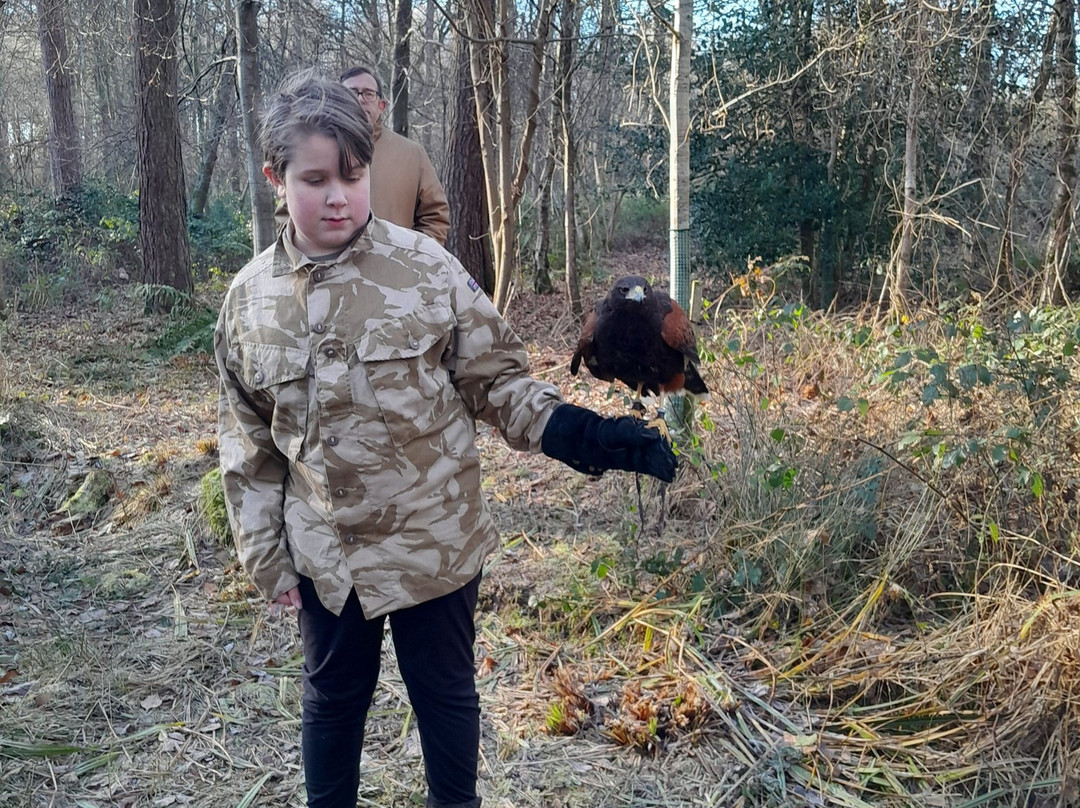 Hampshire Hawk Walks-Alton必去景点