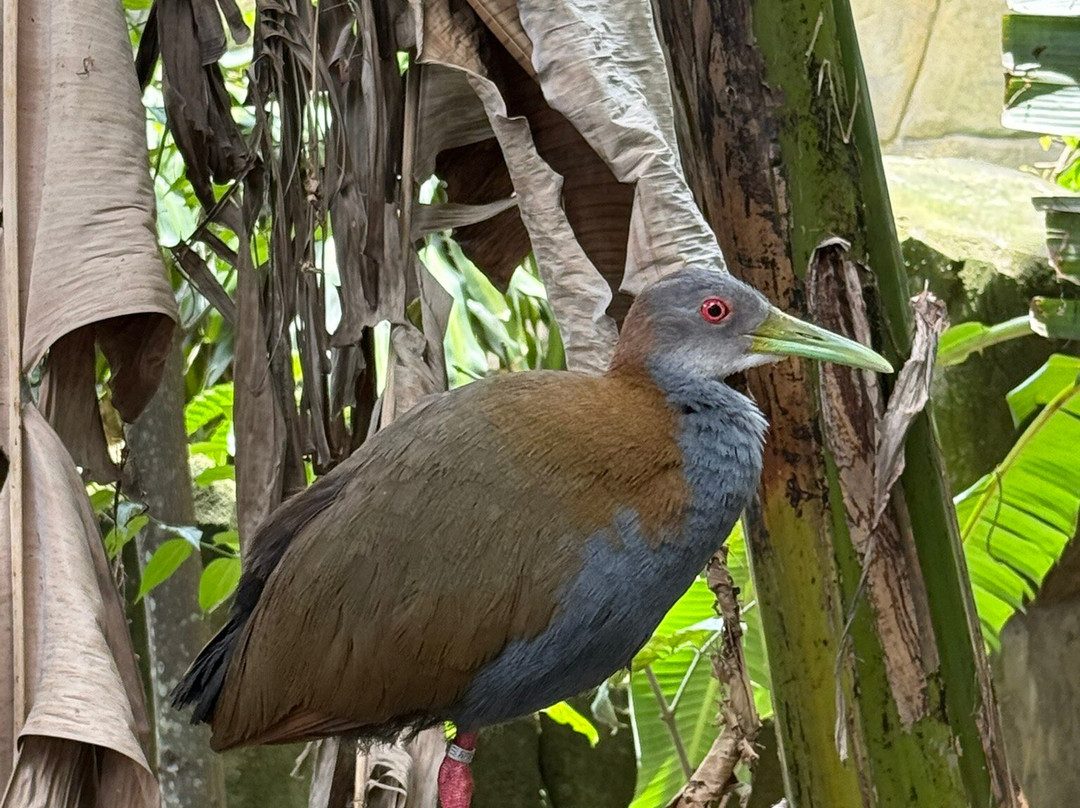 Animália Park-Cotia必去景点