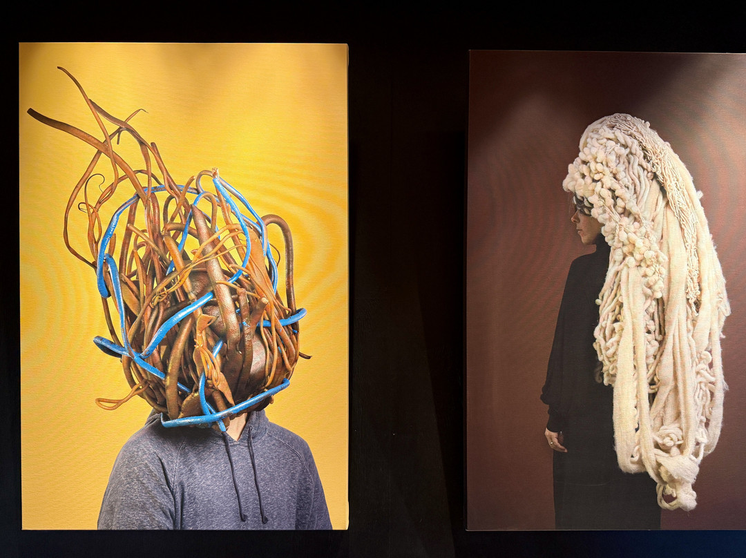 Refugia Chiloé主图