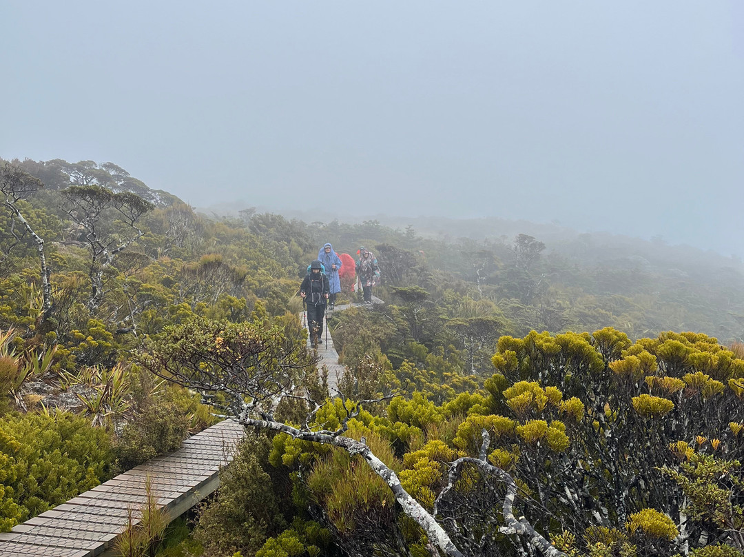 Hump Ridge Track-Tuatapere必去景点