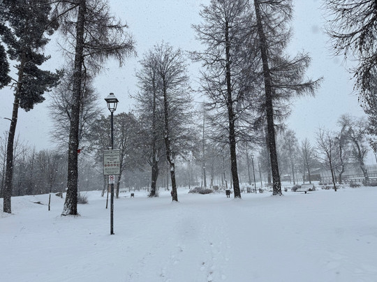 Parco Prenninger-蒙圭尔福-泰西多必去景点