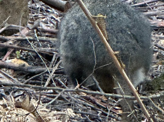 Hastings Caves and Thermal Springs-Hastings必去景点
