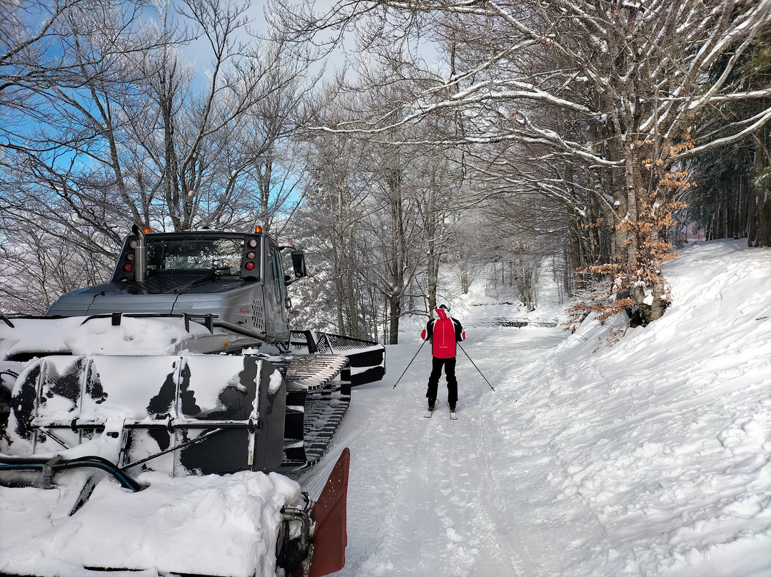 Doganaccia 2000-Cutigliano必去景点