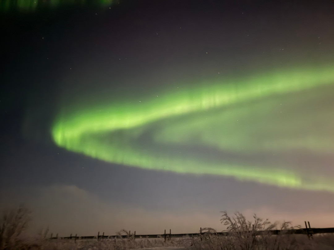 Alaska Safari Sultan Tour-费尔班克斯必去景点