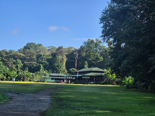 Costa Rica Wild Expeditions-希门尼斯港必去景点