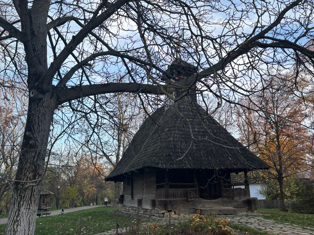 Muzeul Naţional al Satului "Dimitrie Gusti"-布加勒斯特必去景点